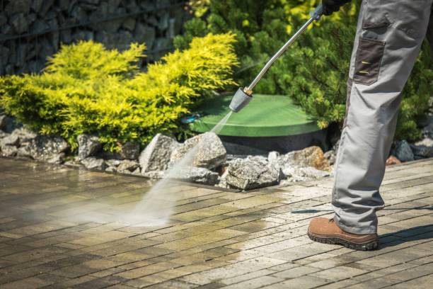 Animal Enclosure Cleaning in Evansdale, IA